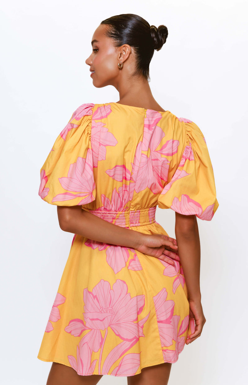 letty dress