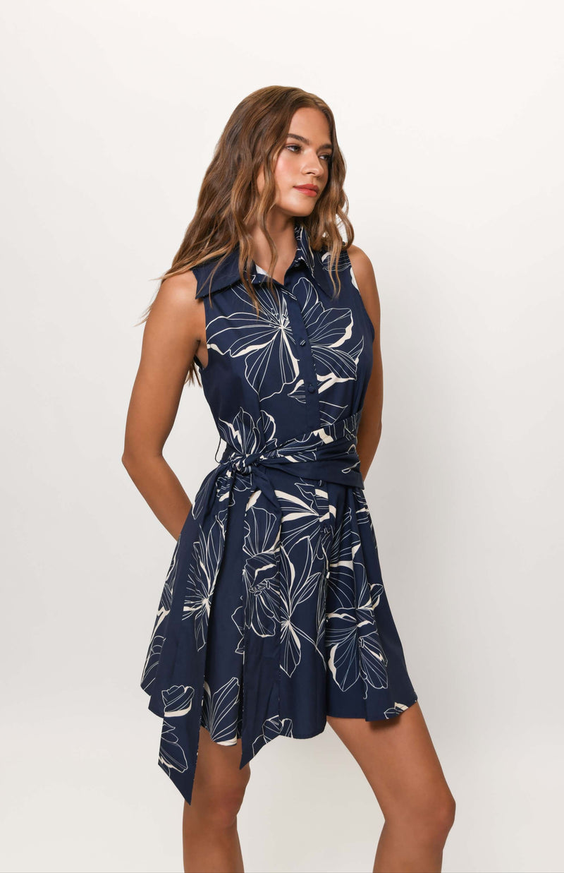 biltmore dress