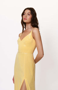 mikayla dress