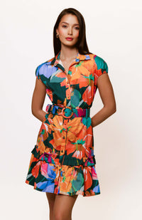andersen dress
