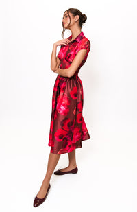 trevy dress