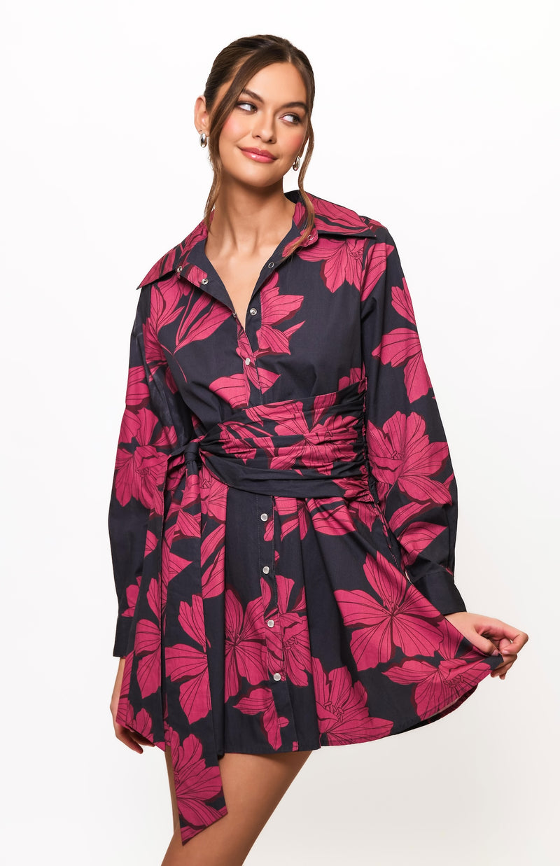 evelyn dress