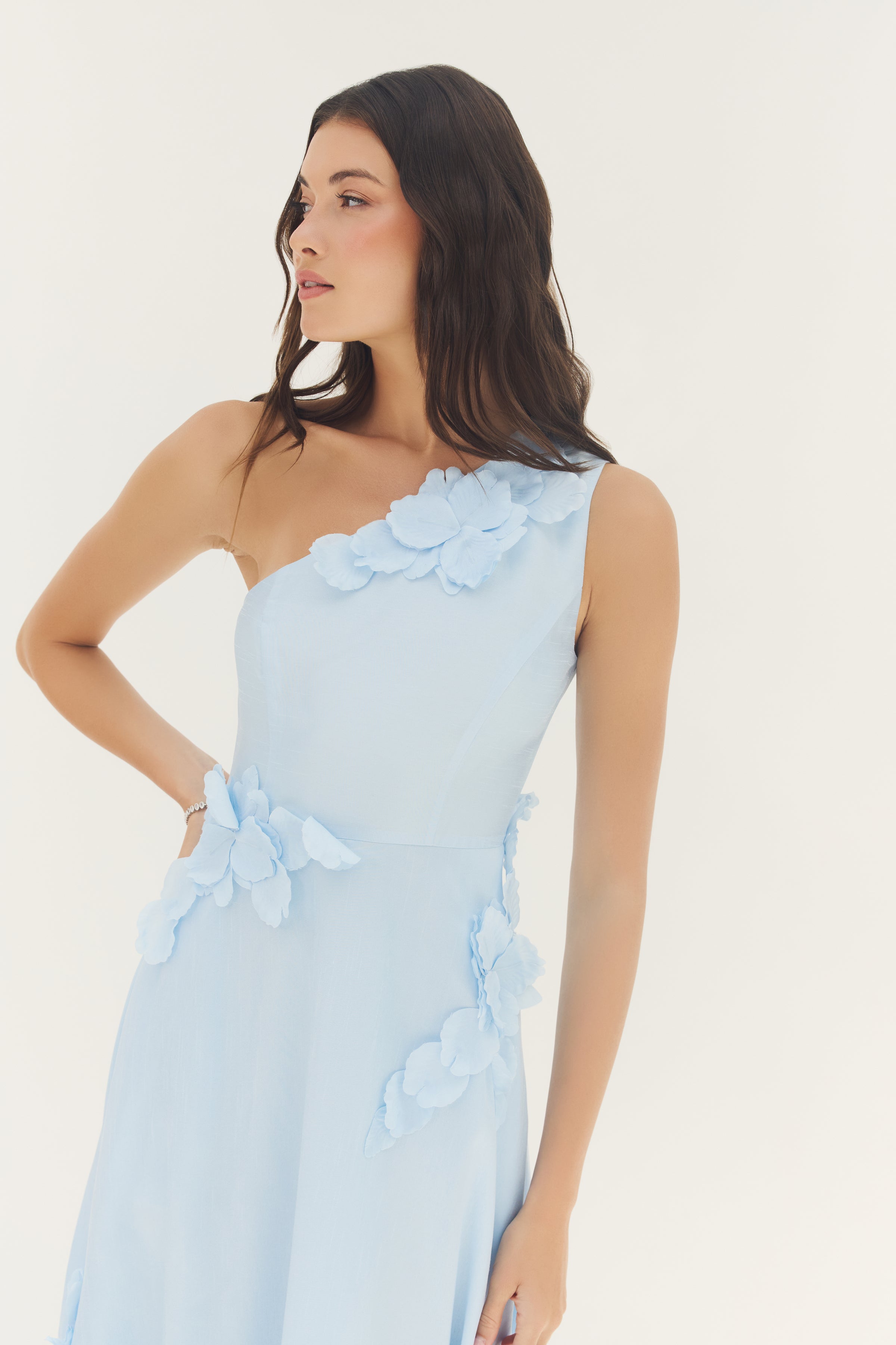 hutch one-shoulder ruffle maxi dress Hutch Adelaide One-Shoulder Maxi Dress