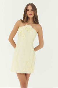 delanie dress