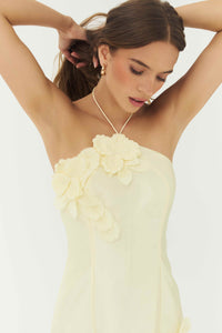 delanie dress