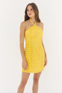 delanie dress