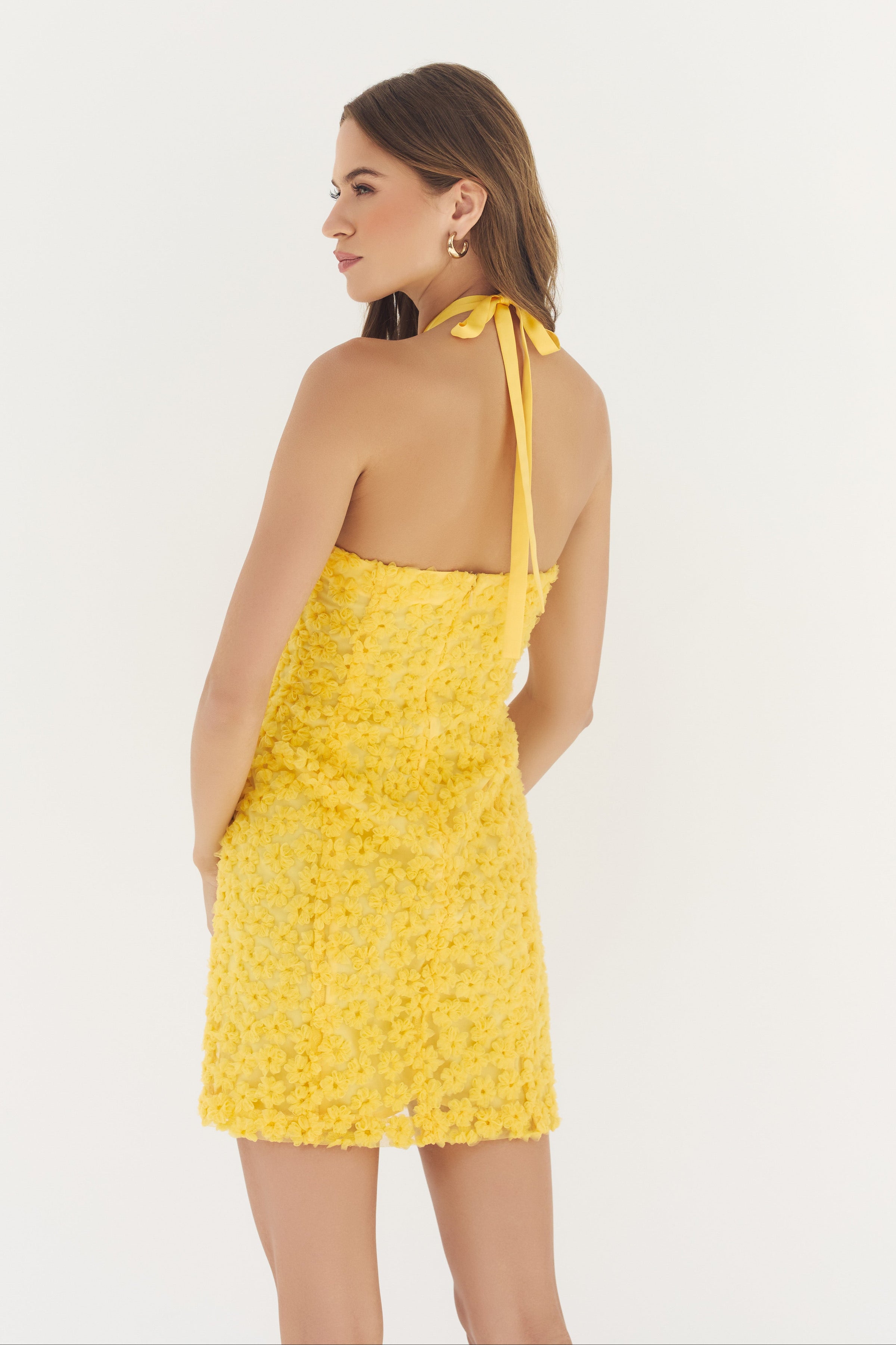 delanie dress