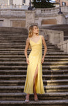 mikayla dress