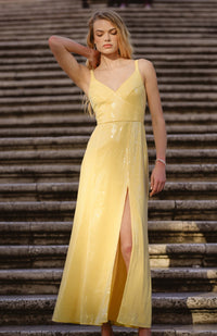 mikayla dress