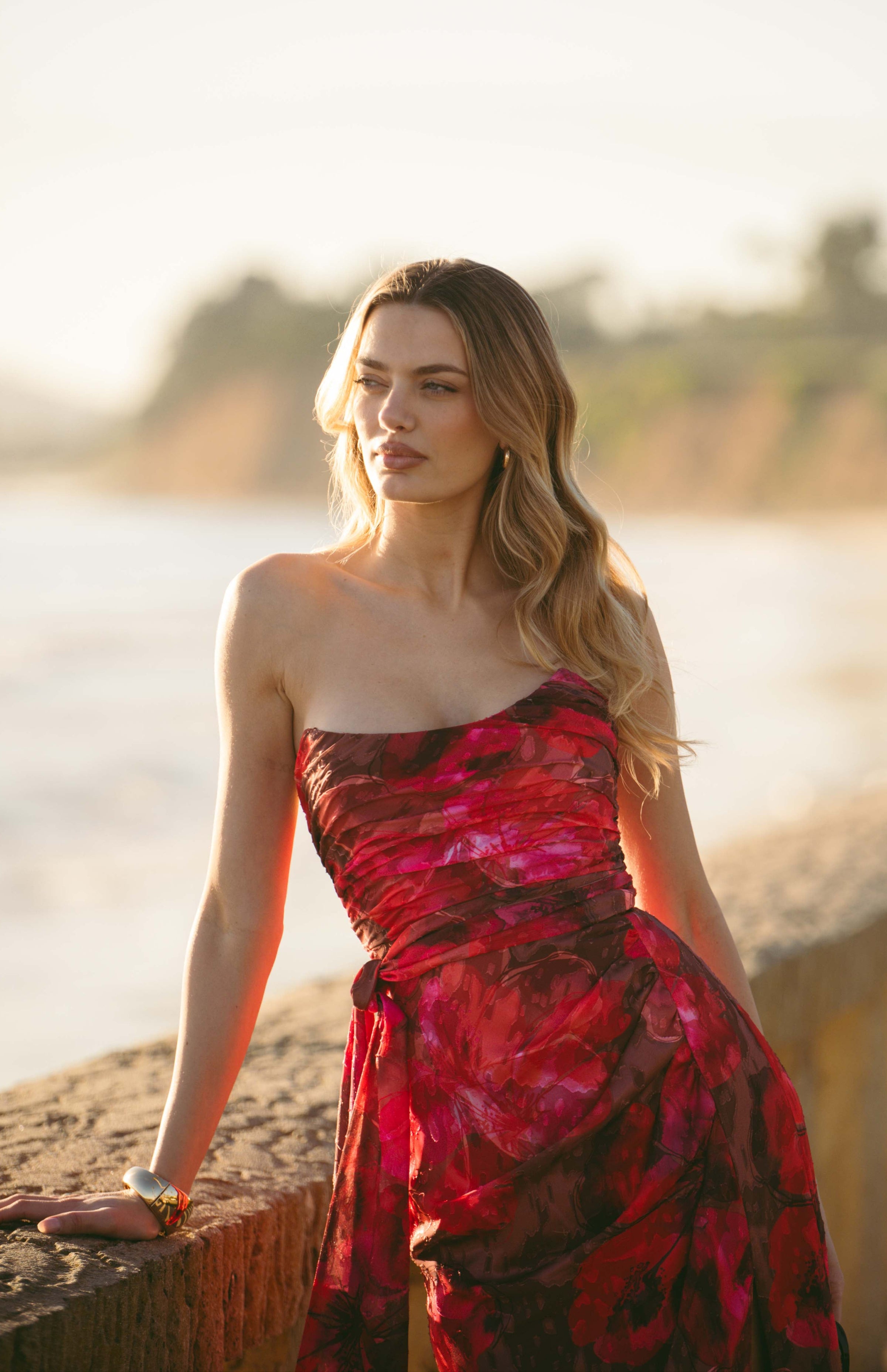 hutch red dress Red V-Neck High Low Gown