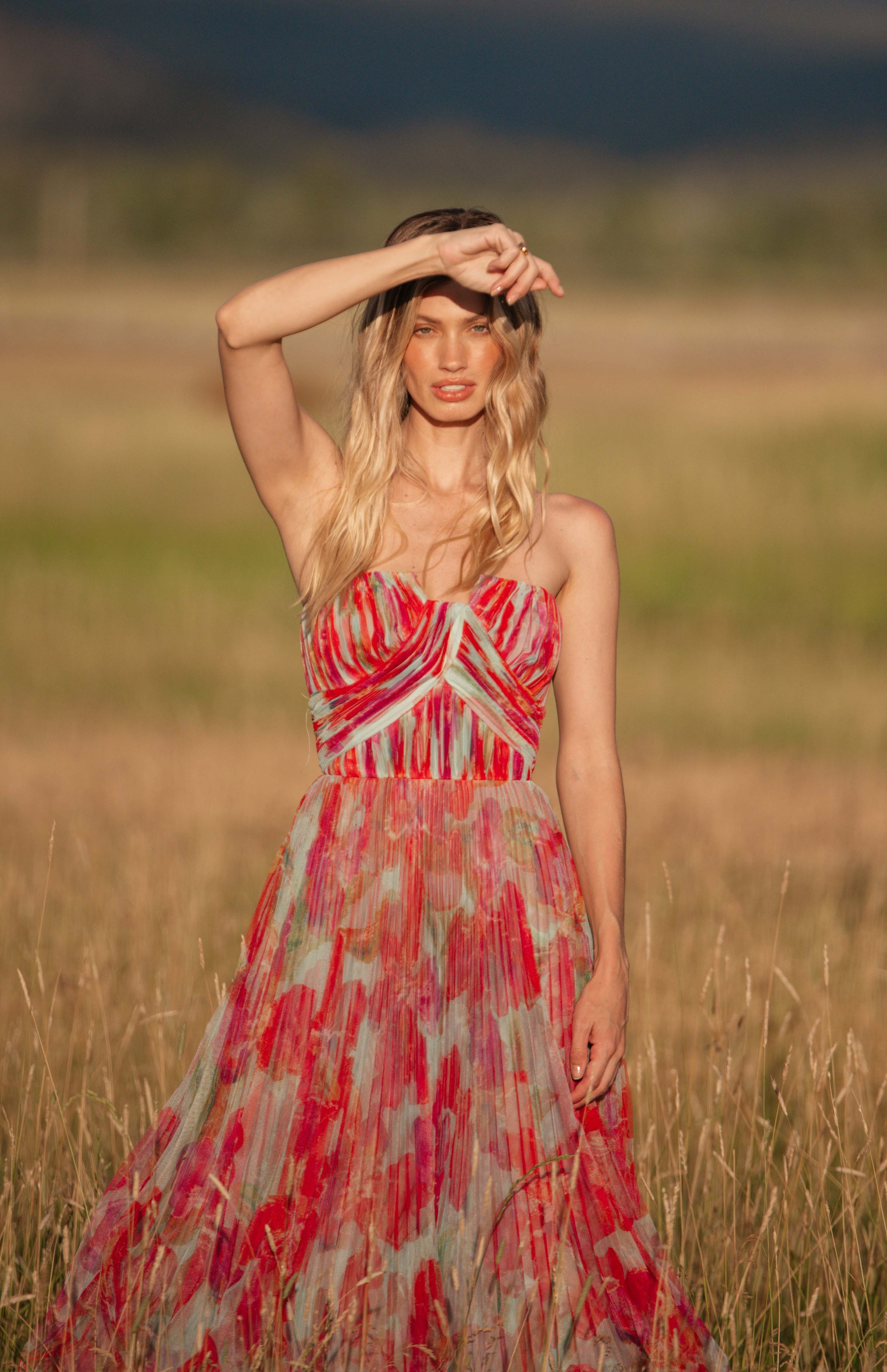 Hutch Strapless Multi Tiered Floral Tulle Maxi Dress corene gown Hutch Hutch Strapless Multi Tiered Floral Tulle Maxi Dress corene gown Hutch