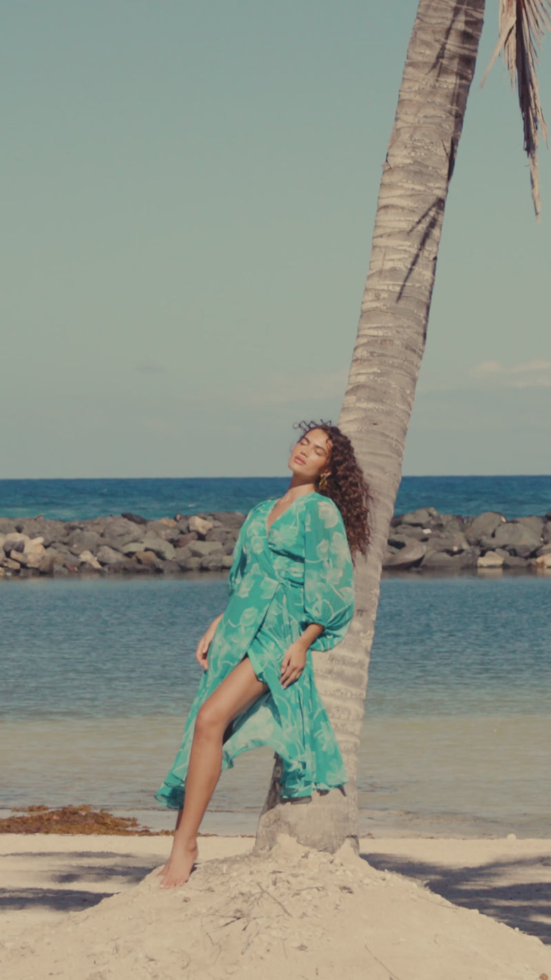 robyn dress